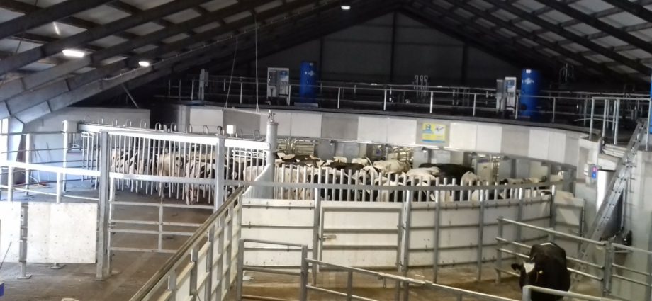 Инновационная система доения Batch Milking