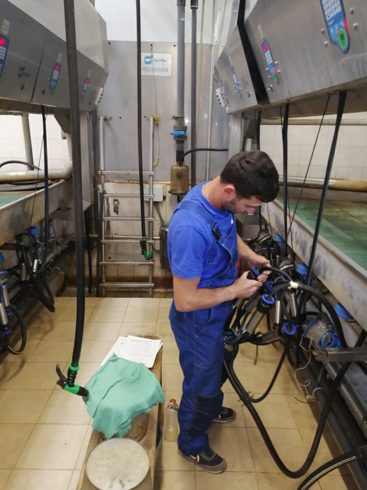 Service of the milking parlor parallel to the production of Agro-Tech